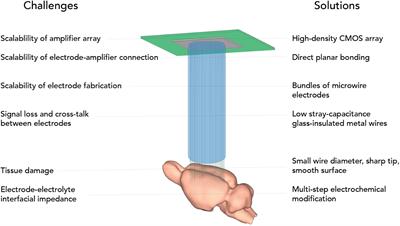 CHIME: CMOS-Hosted in vivo Microelectrodes for Massively Scalable Neuronal Recordings